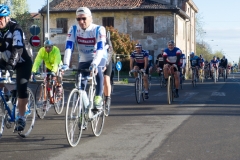 Lambruschetta bassa risoluzione (83 di 1025)