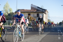 Lambruschetta bassa risoluzione (86 di 1025)