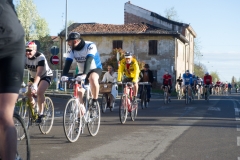 Lambruschetta bassa risoluzione (87 di 1025)