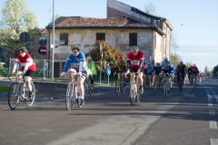 Lambruschetta bassa risoluzione (92 di 1025)
