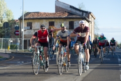 Lambruschetta bassa risoluzione (99 di 1025)