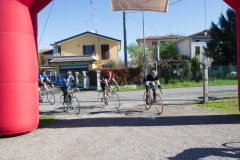 Lambruschetta bassa risoluzione (383 di 1025)