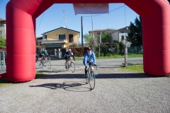 Lambruschetta bassa risoluzione (396 di 1025)