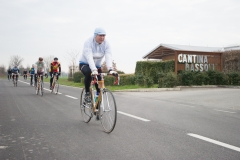Lambrustorica sel (128 di 545)