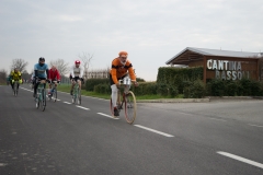 Lambrustorica sel (136 di 545)