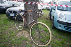 Lambrustorica sel (45 di 545)