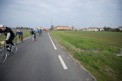Lambrustorica sel (323 di 545)