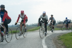 Lambrustorica sel (712 di 727)