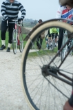 Lambrustorica sel (882 di 727)