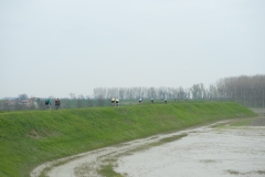 Lambrustorica sel (961 di 727)