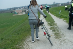 Lambrustorica sel (974 di 727)