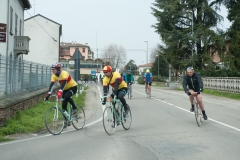 Lambrustorica sel (1391 di 19)
