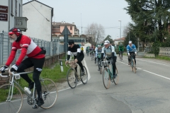 Lambrustorica sel (1393 di 19)