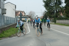 Lambrustorica sel (1394 di 19)