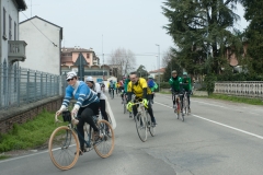 Lambrustorica sel (1395 di 19)
