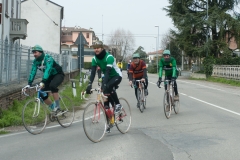 Lambrustorica sel (1396 di 19)
