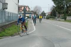 Lambrustorica sel (1397 di 19)